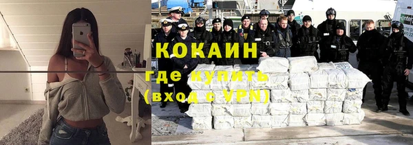 твердый Алзамай
