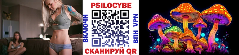 OMG ONION  Краснодар  Псилоцибиновые грибы прущие грибы  где найти  